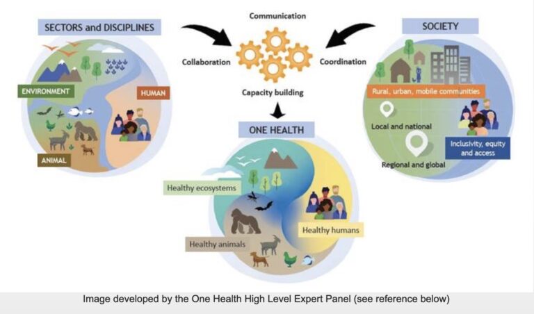 What is One Health and Why is it a Problem?