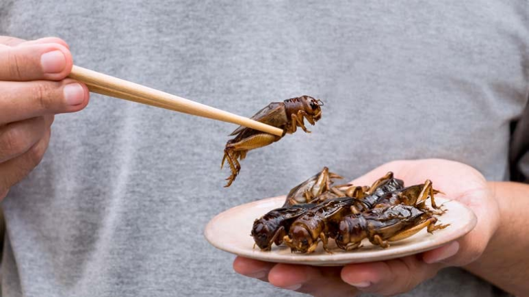 Globalist Cabal Promotes Diet of Bugs — and Cannibalism