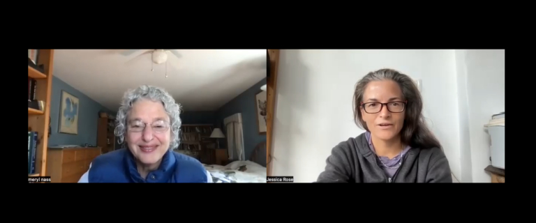 Meryl Nass and Jessica Rose talk about the upcoming WHO amendments and treaty – we have 68 days left