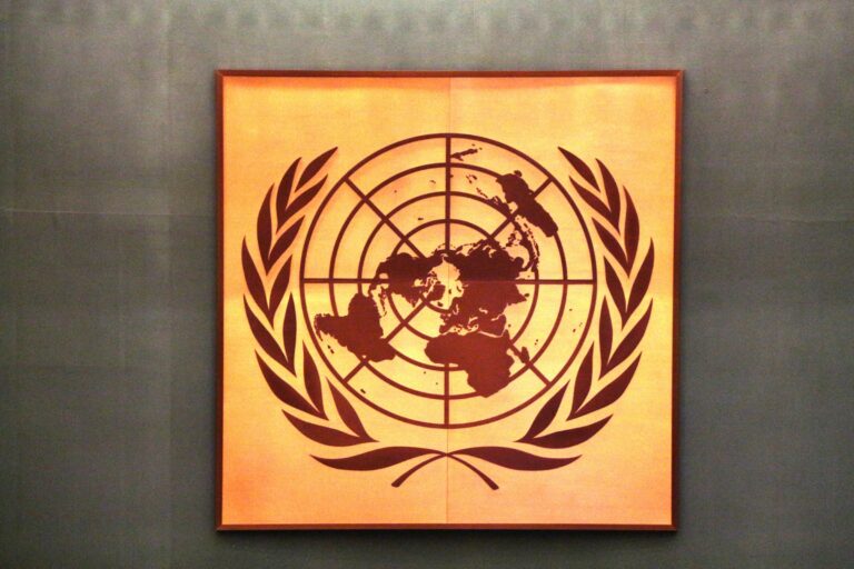 The New World Health Organization IHR Changes Are Merely Cosmetic
