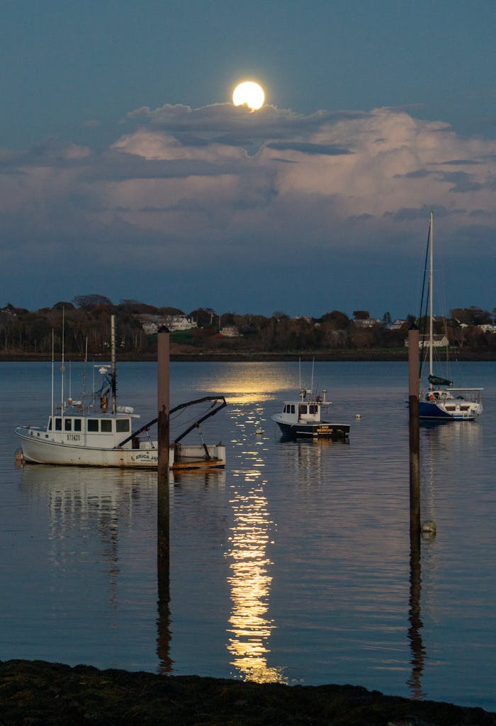 Boats on Seashore in Evening