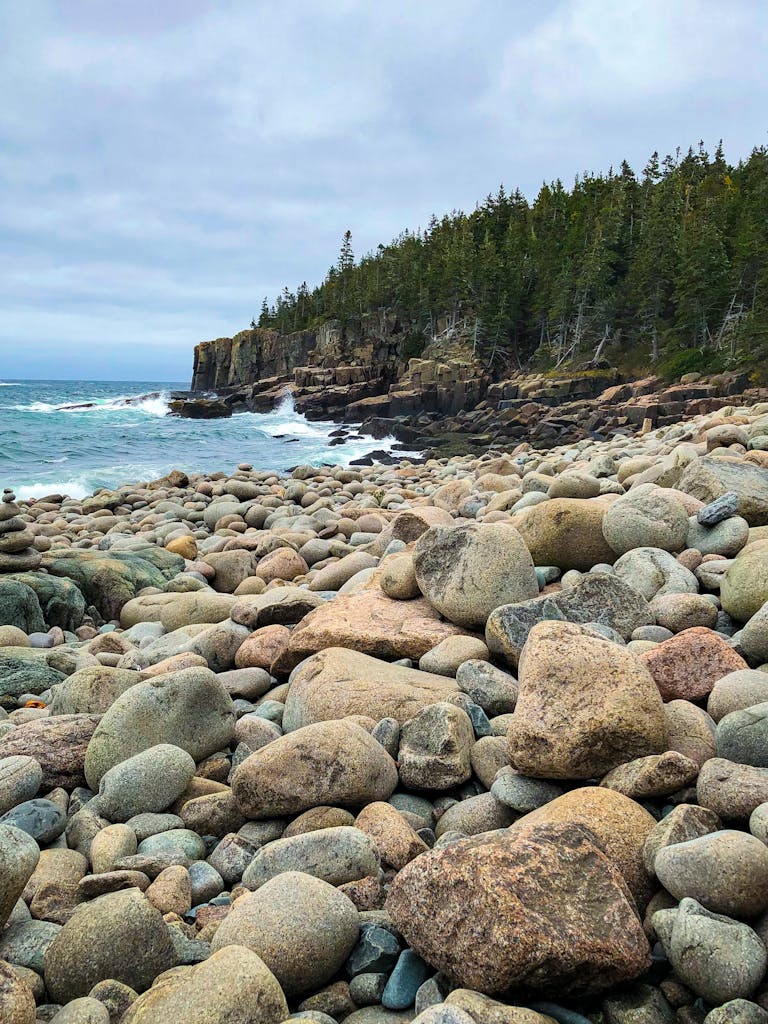 Brown Rocks on Seashore Near Green Trees