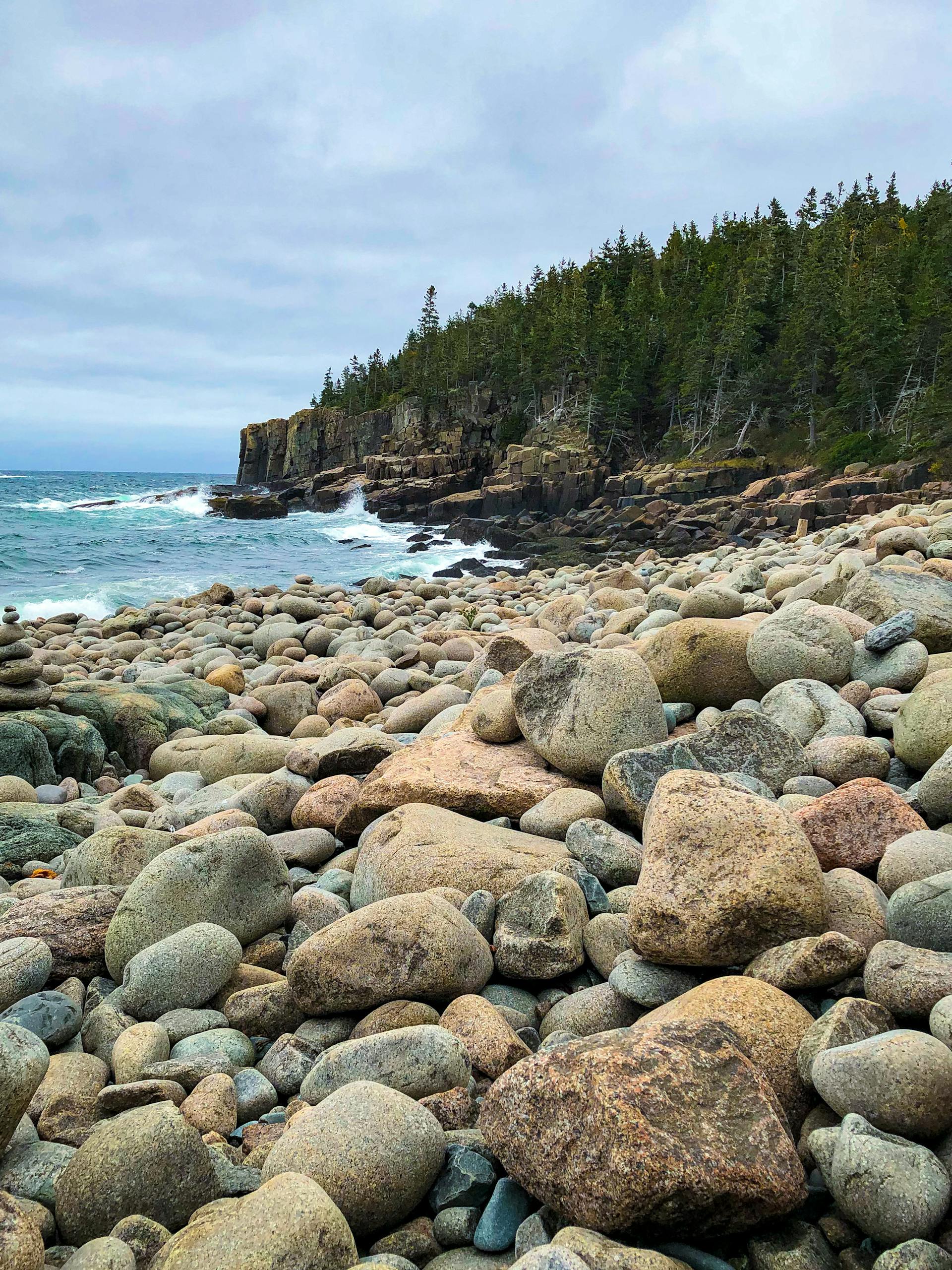 Brown Rocks on Seashore Near Green Trees