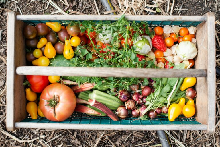 SUPPORT:  Right to Food Amendment 