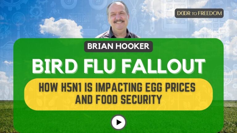 Bird Flu Fallout: How H5n1 Is Impacting Egg Prices and Food Security