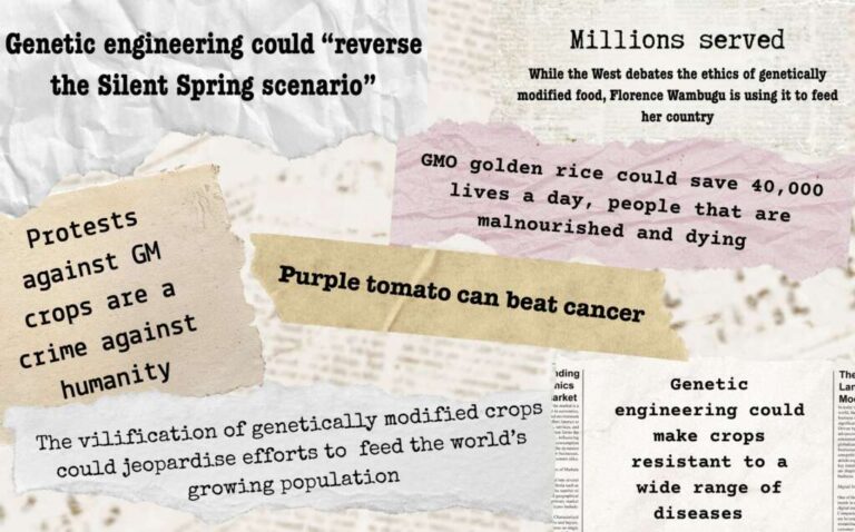 Bitter harvest — 30 years of broken GMO promises